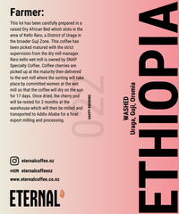 Ethiopia Guji Dega Washed (Espresso)