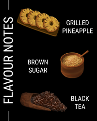 Costa Rica H3-Milenio Natural (Filter)