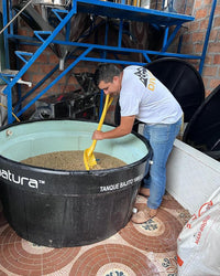 Finca El Diviso Nestor Lasso Sidra Natural NL70 (Filter)