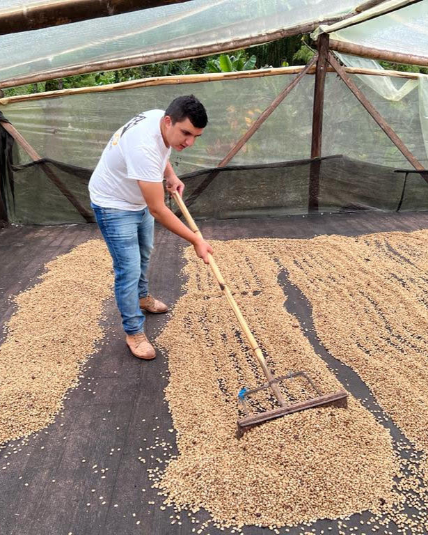 Finca El Diviso Nestor Lasso Sidra Natural NL70 (Filter)