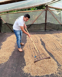 Finca El Diviso Nestor Lasso Sidra Natural NL70 (Filter)