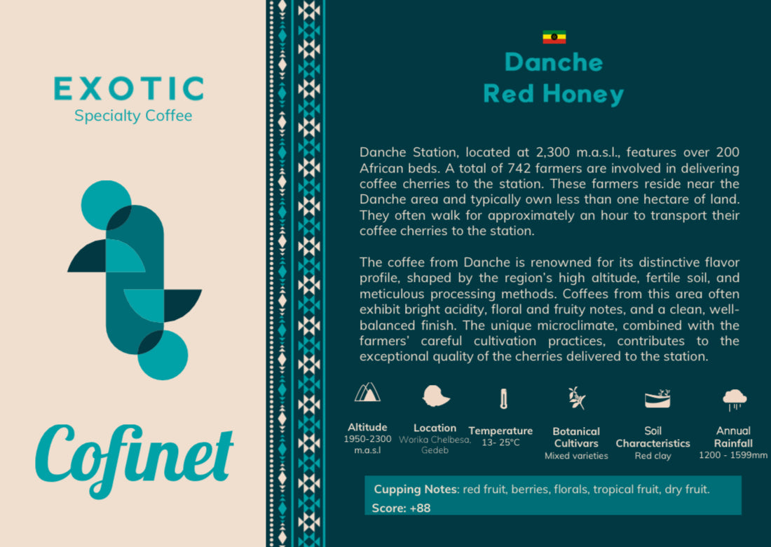 Ethiopia Danche Dega and Wolisho Red Honey (Filter)