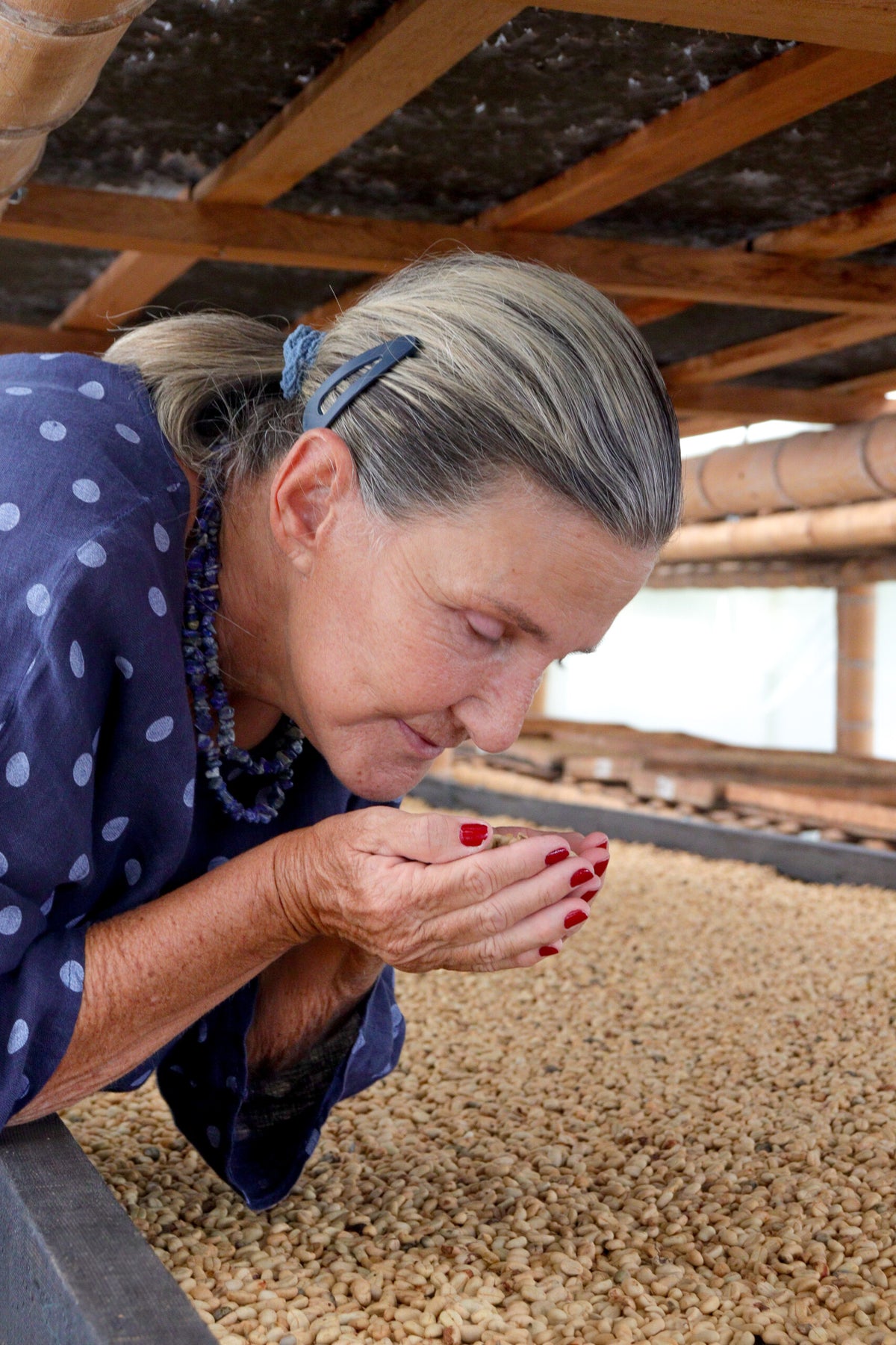 Colombia Luz Helena Salazar Caturra Natural (Espresso)