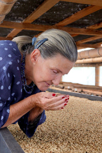Colombia Luz Helena Salazar Caturra Natural (Espresso)