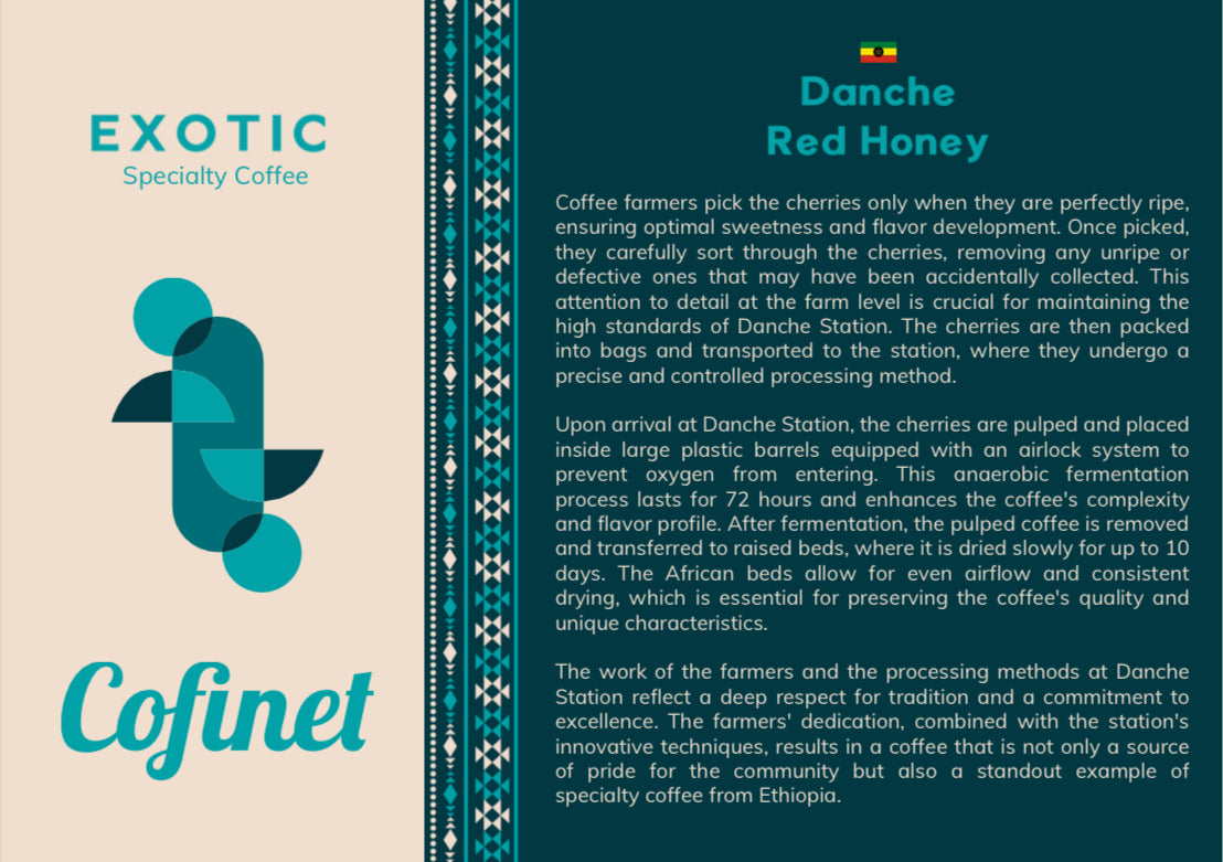 Ethiopia Danche Dega and Wolisho Red Honey (Filter)