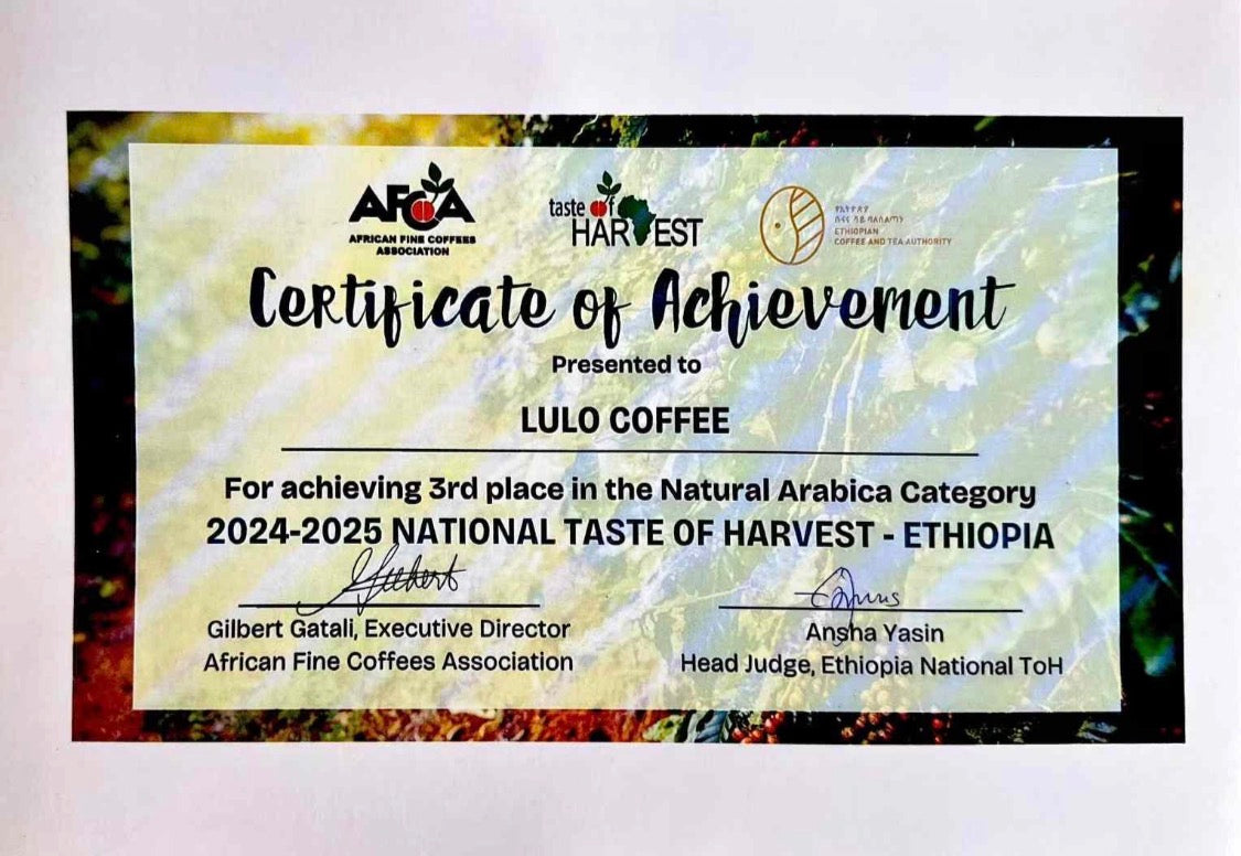 🆕 Ethiopia TOH#1 Natural Lulo Coffee