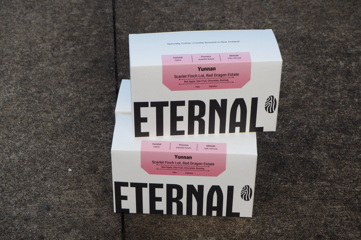 Yunnan Catimor Anaerobic Natural (Filter)