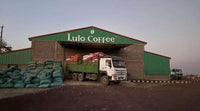 🆕 Ethiopia TOH#1 Natural Lulo Coffee