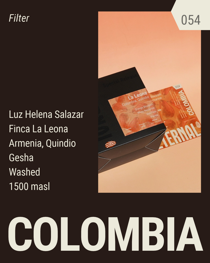 🆕 Colombia Luz Helena Salazar Gesha Washed (Filter)