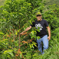 🆕 Colombia Las Flores Chiroso Anaerobic Natural