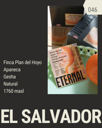 🆕 El Salvador Finca Plan del Hoyo Gesha Natural (Filter)