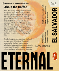 🆕 El Salvador Finca Plan del Hoyo Gesha Natural (Filter)