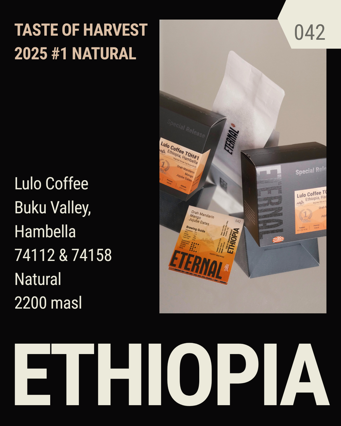 🆕 Ethiopia TOH#1 Natural Lulo Coffee