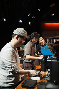 Colombia Los Nogales Typica - 2nd Place 2025 NZ Barista Championship(NZBC) COMPETITION COFFEE (Filter)