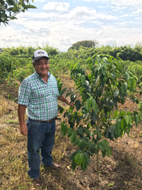 Colombia Jairo Arcila Chiroso Bourbon Natural (Filter)