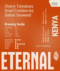 🆕 Kenya Ruera AB Washed (Filter)