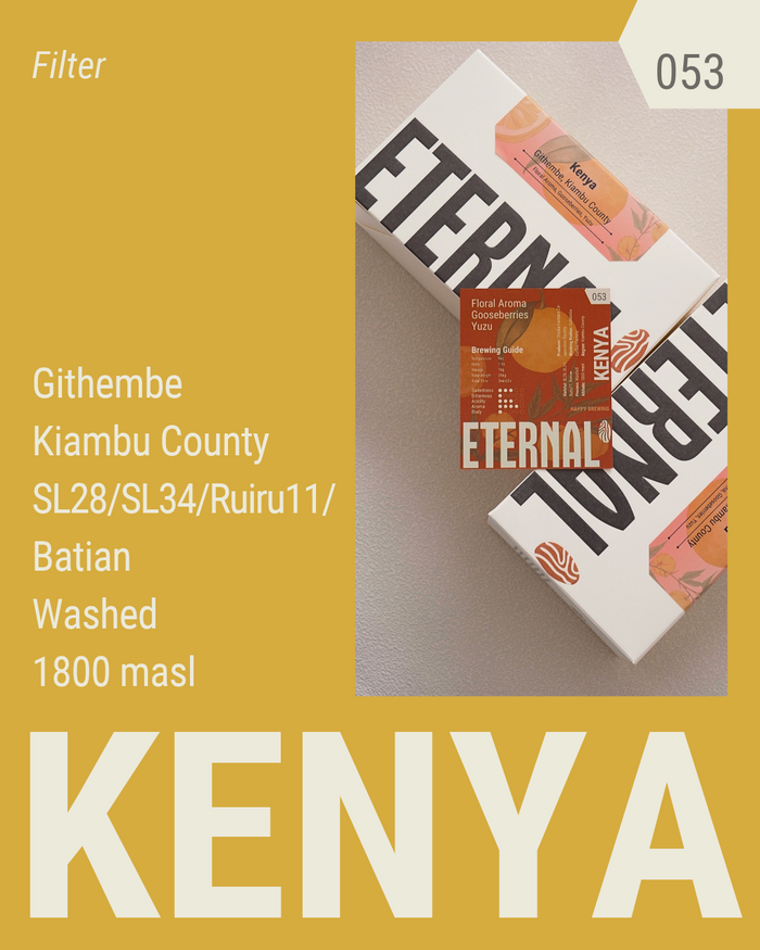 🆕 Kenya Githembe AB SL28, SL34, Ruiru11, Batian Washed (Filter)