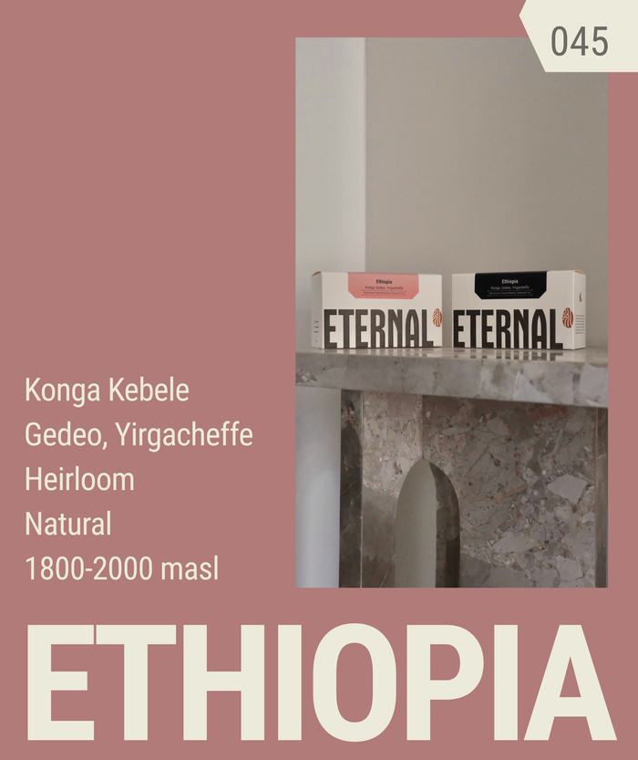 🆕 Ethiopia Konga Heirloom Natural (Filter)