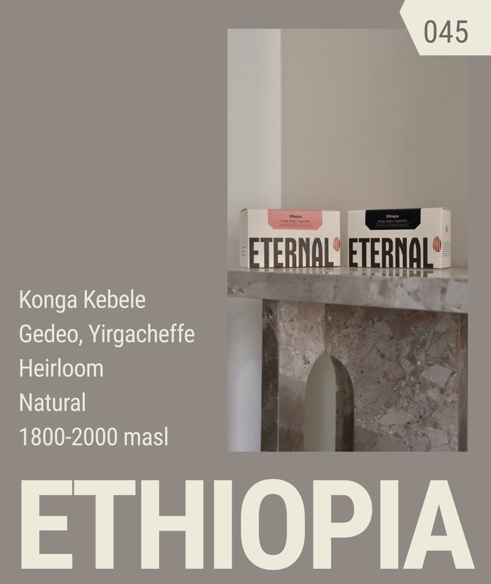 🆕 Ethiopia Konga Heirloom Natural (Espresso)
