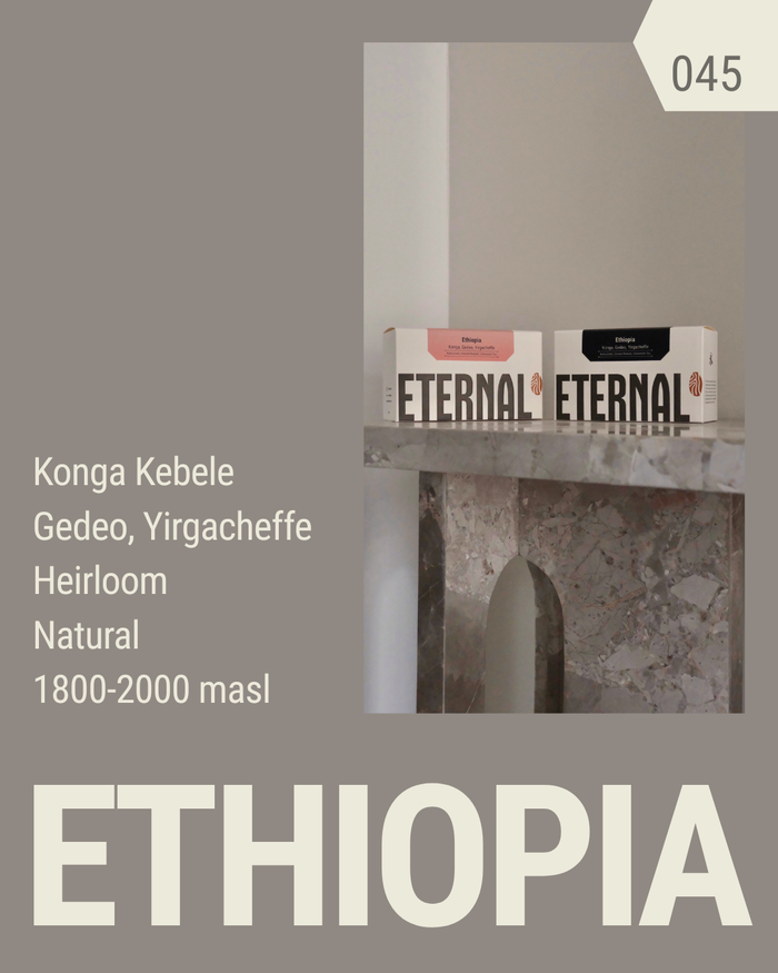 🆕 Ethiopia Konga Heirloom Natural (Espresso)