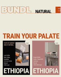 🆕 Limited: Ethiopia Natural Bundle: TOH #1 Lulo + Konga