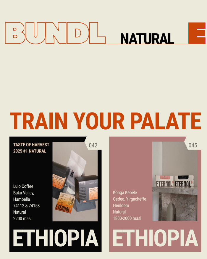 🆕 Limited: Ethiopia Natural Bundle: TOH #1 Lulo + Konga