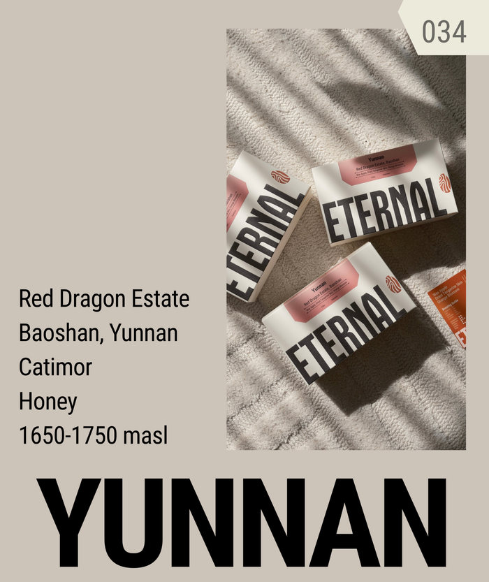 Yunnan Baoshan Catimor Honey (Filter)