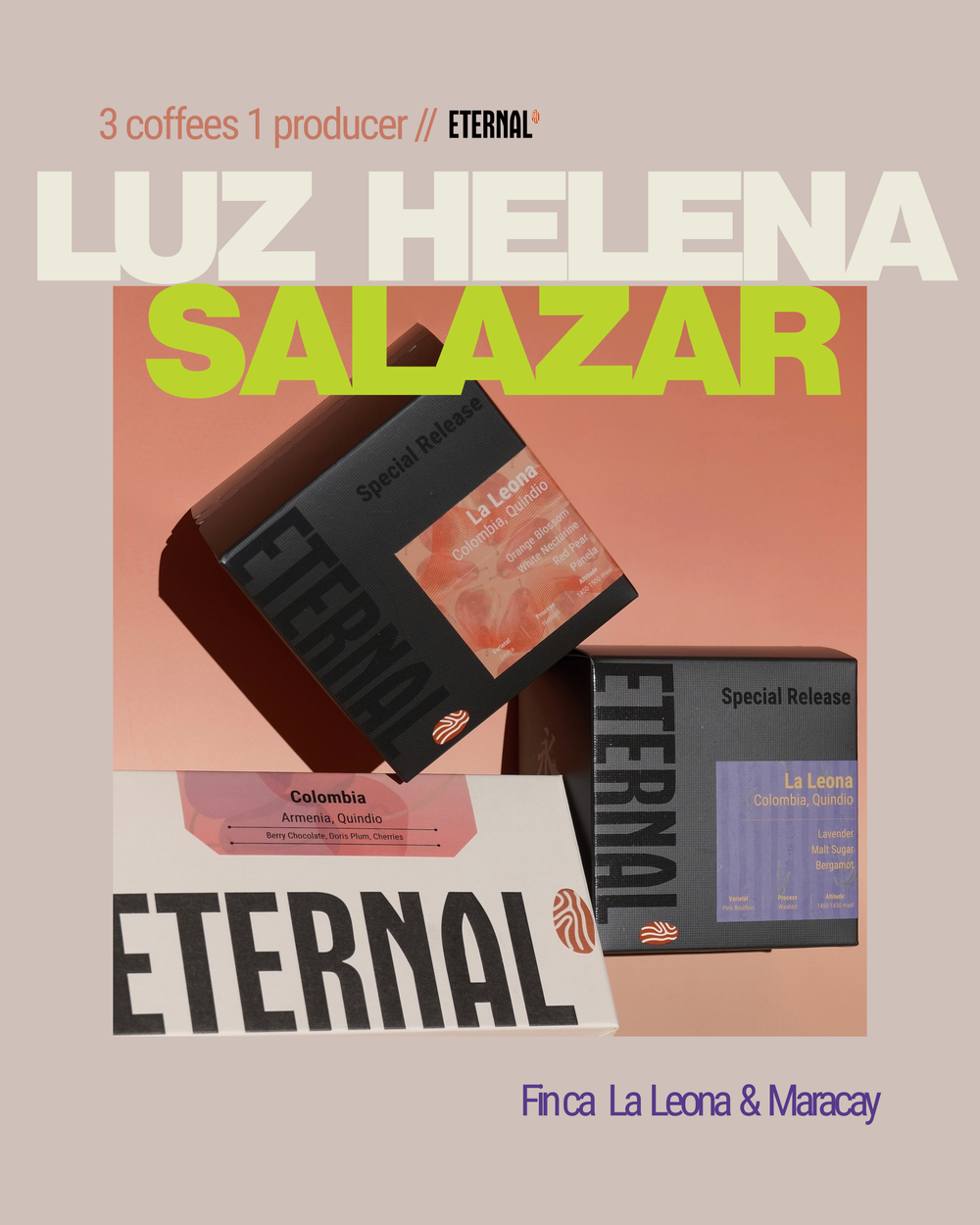 🆕  Limited: Colombia Luz Helena Salazar Producer Bundle Deal (Filter)