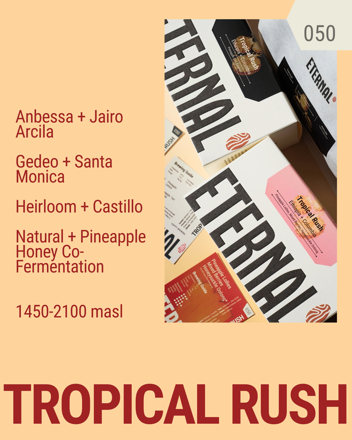 🆕 Tropical Rush - Fruity Blend (Filter)