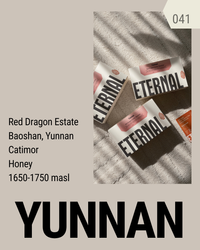 Yunnan Baoshan Catimor Honey (Filter)