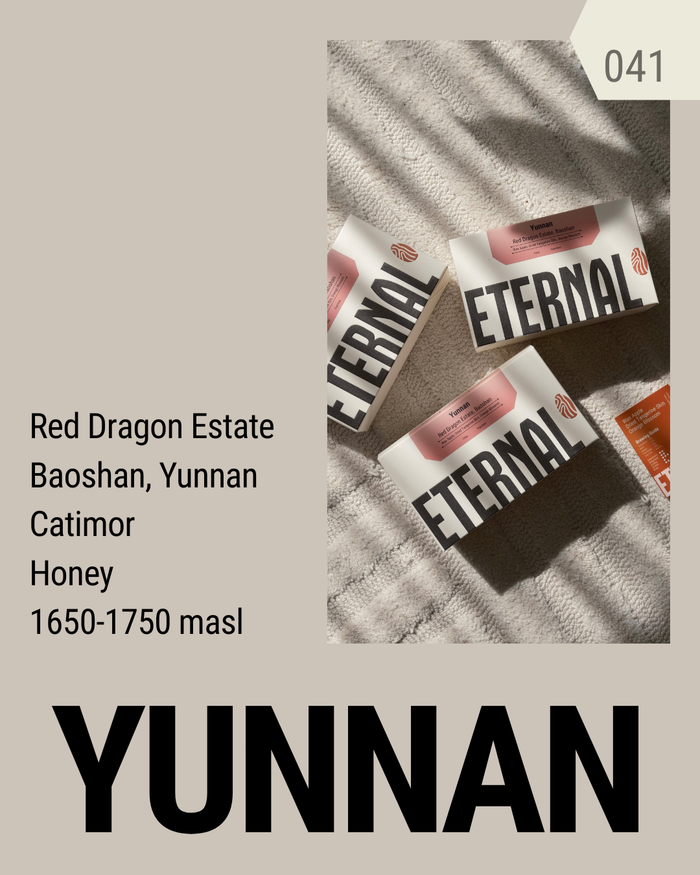 Yunnan Baoshan Catimor Honey (Filter)