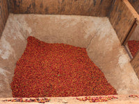 🆕 Kenya Ruera AB Washed (Filter)