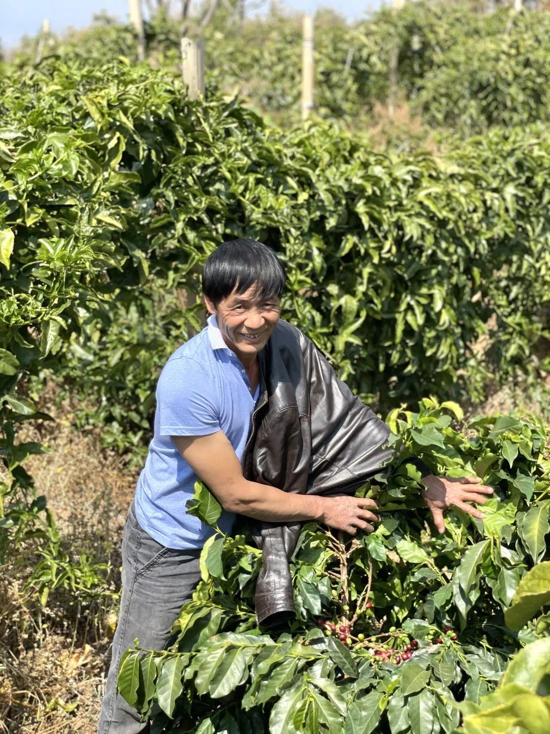 Yunnan Catimor Anaerobic Natural (Filter)